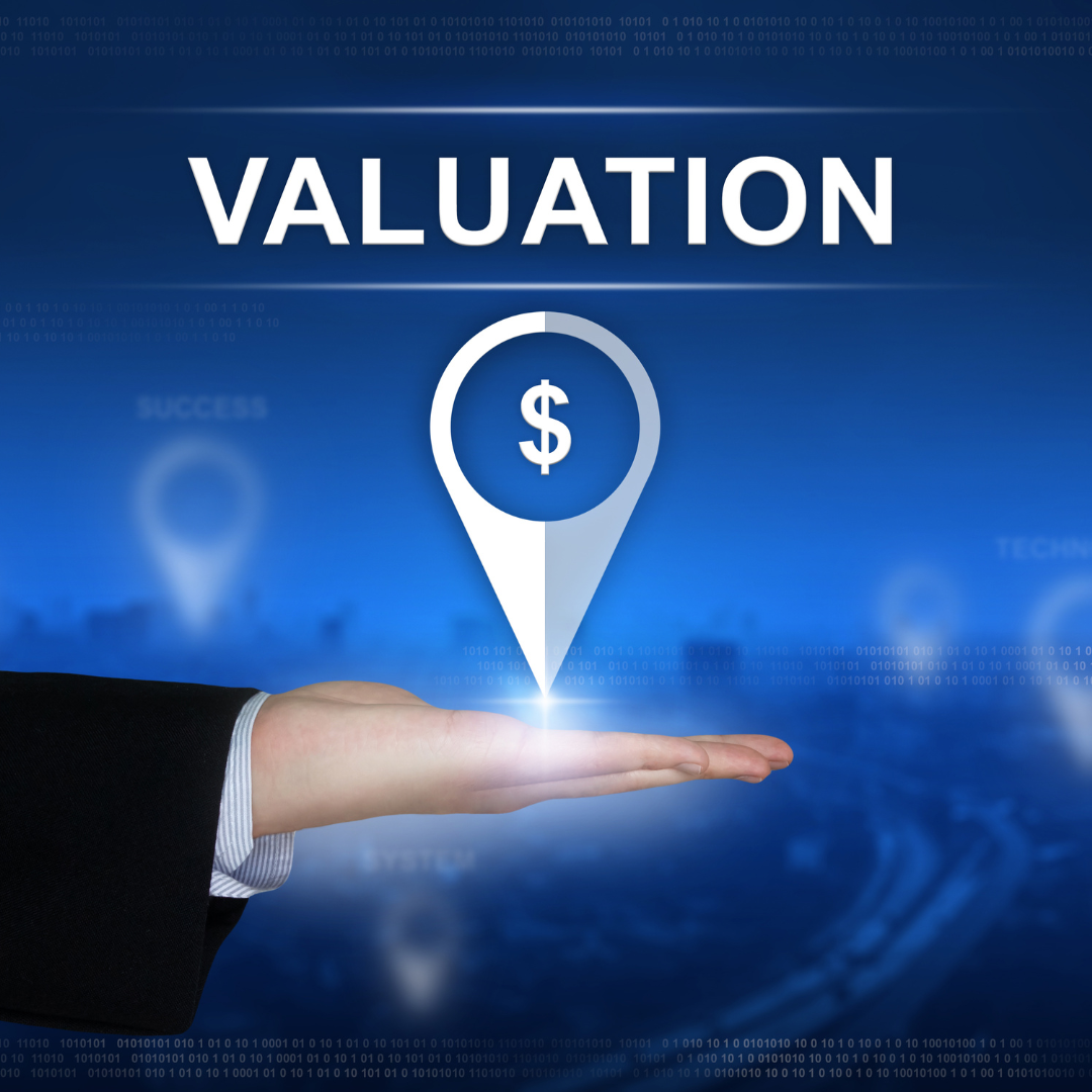 Professional Business Valuation
